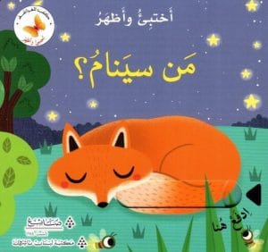 سلسلة اختبئ وأظهر: من سينام؟